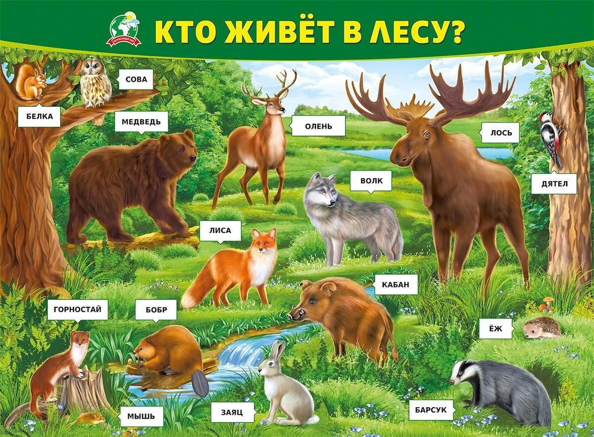 Дикие животные перечисли. Кто живет в лесу. Лесные животные. Лесные животные для детей. Лес с животными для детей.