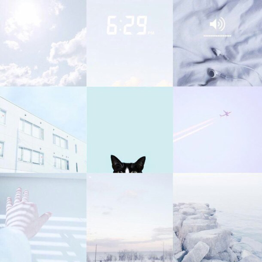 Обои с кошками Эстетика