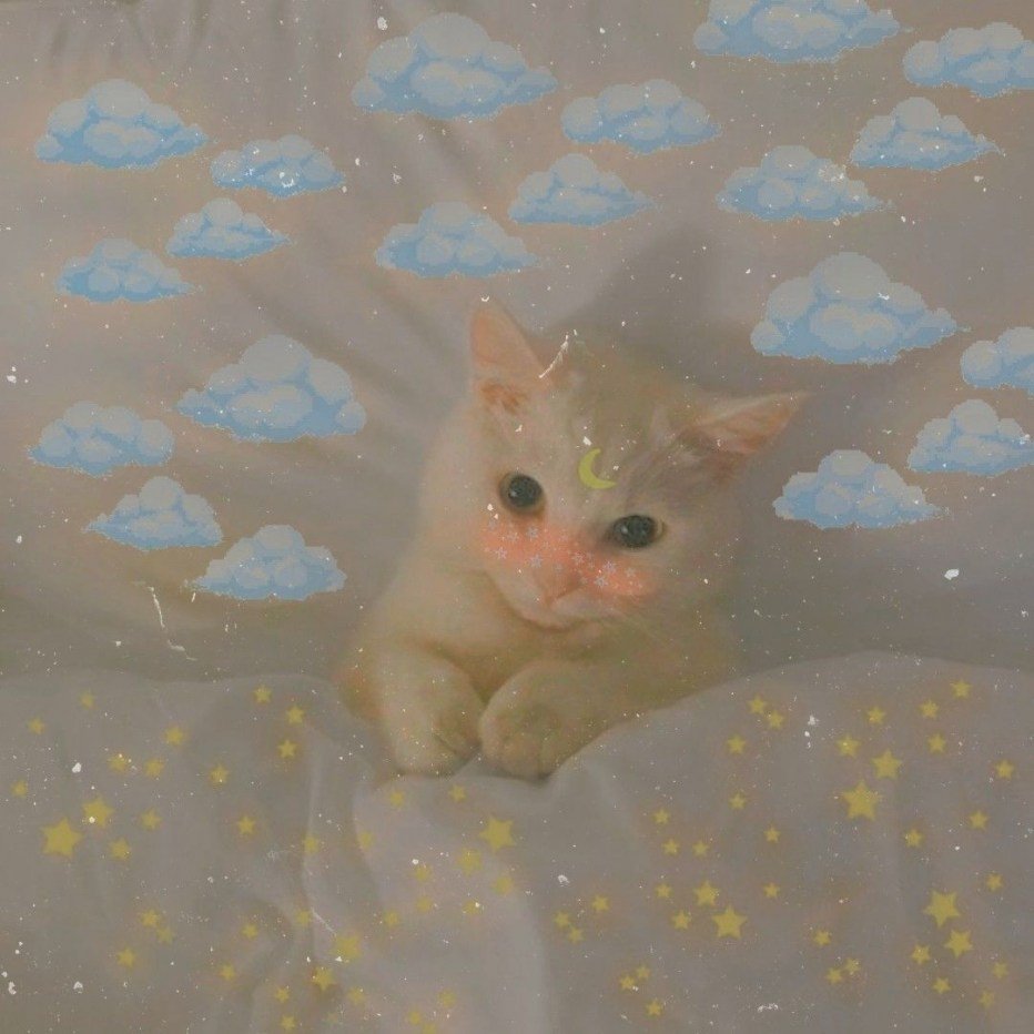 Котики Эстетика розовая