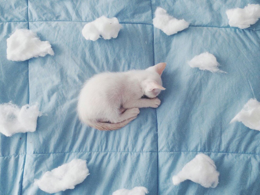 Эстетика светло голубого