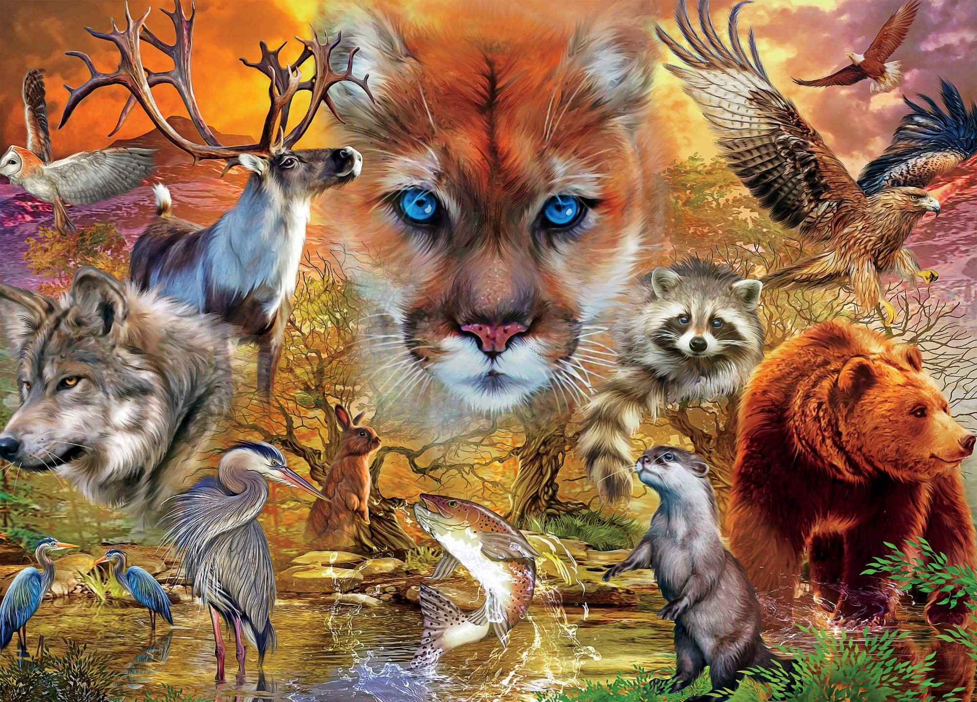 Царство животные. В царстве животных. Царство животных картинки. Упрства жаотные. Царство животные лес