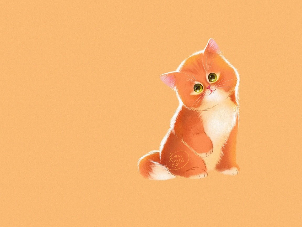 Рыжий кот Минимализм