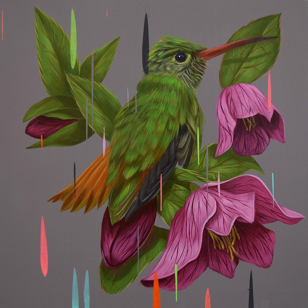 Франк Гонсалес птицы картины