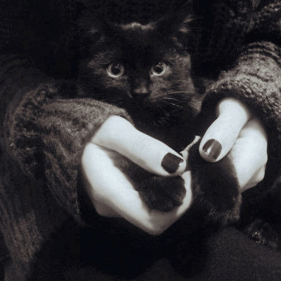 Эстетики девушка без лица с котом