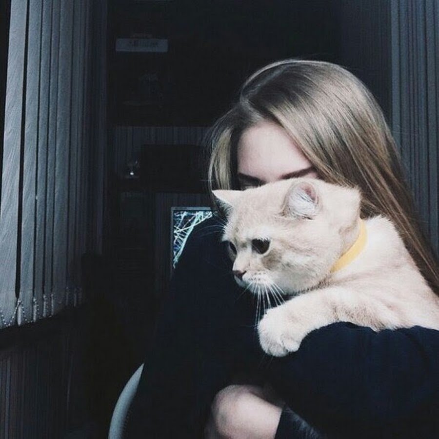 Девушка с кошкой без лица