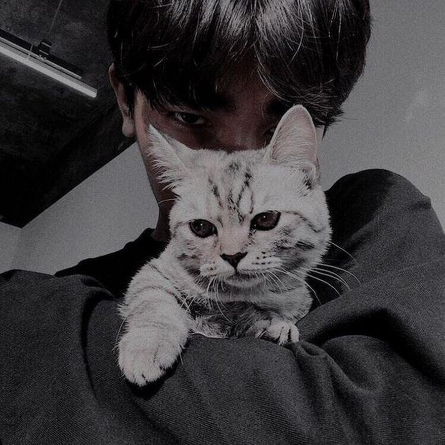 Парень с котом Эстетика