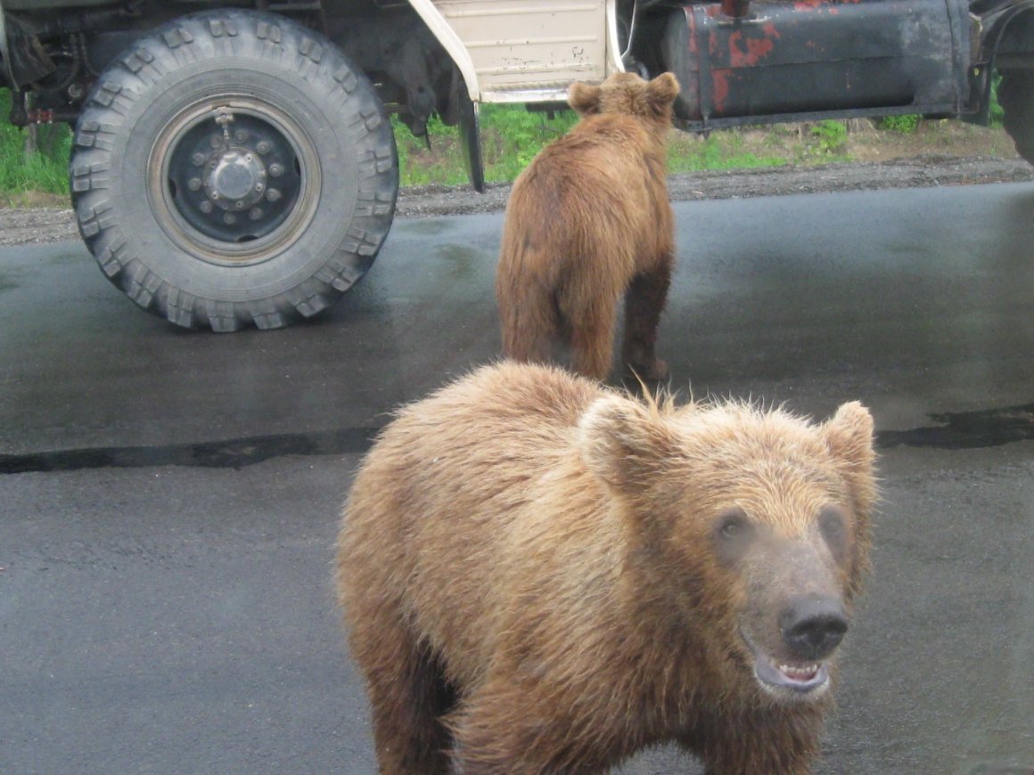 Пестунов Апоница