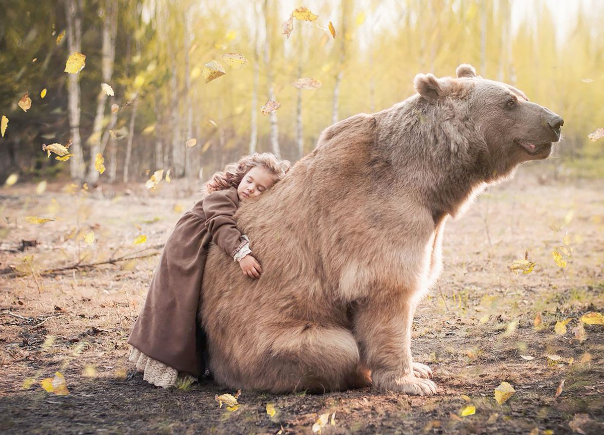 Медведь обнимает