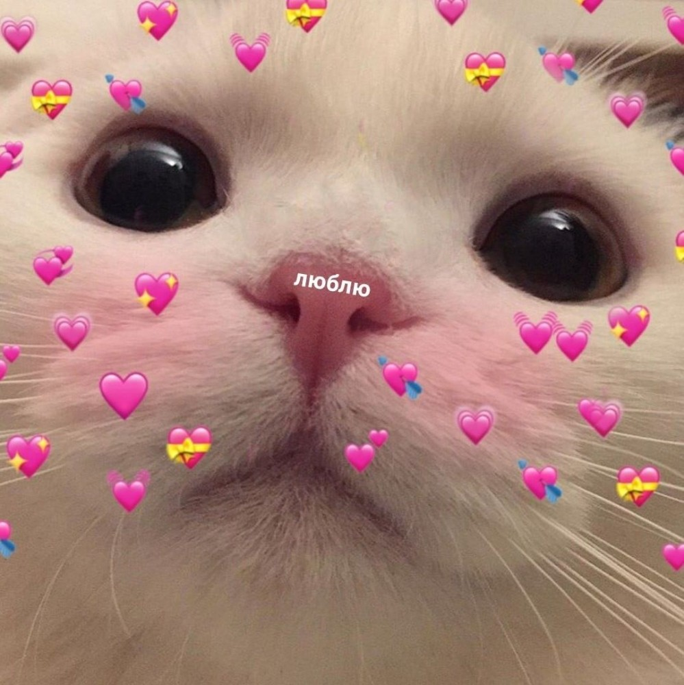 Кошечка с сердечком