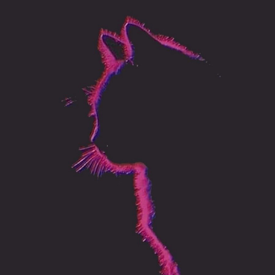 Котики Эстетика