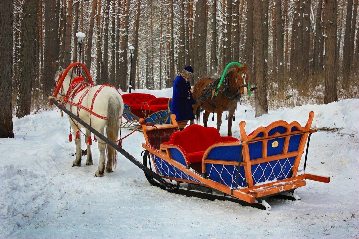 Зимние сани для лошадей