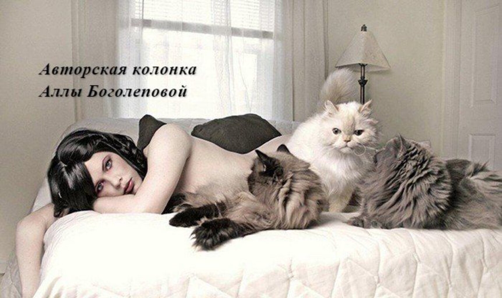 Хочешь быть независимой. Женщина с кошкой. Девушка с аотом в постели. Девушка с котом в постели. Девушка с котом на кровати.
