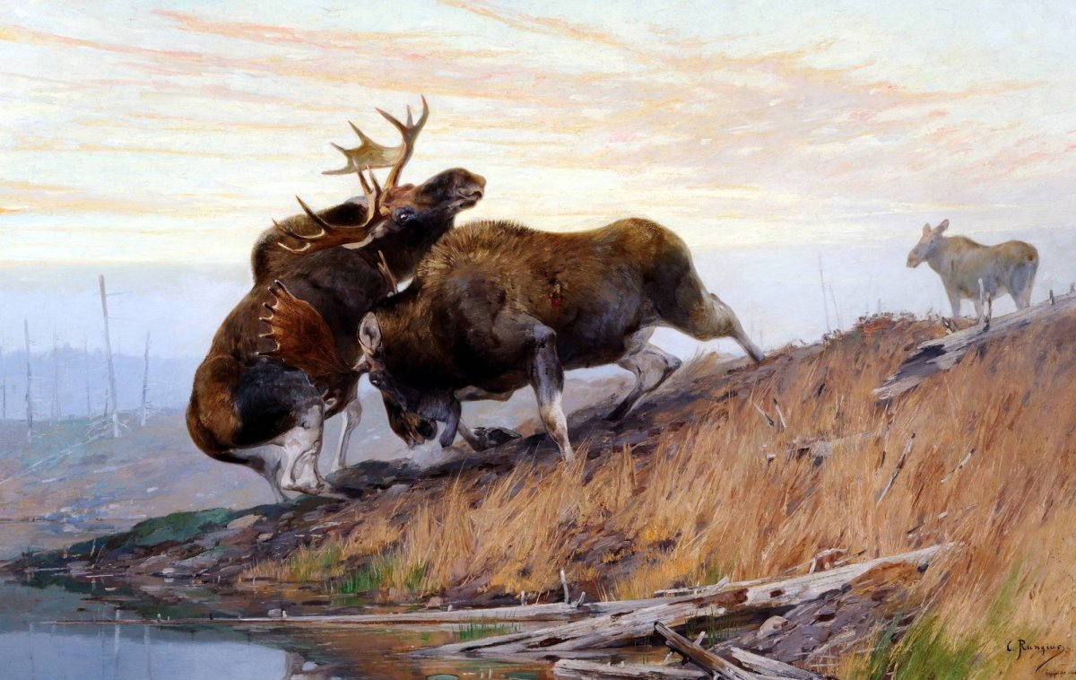 Анималист Тихменев картины