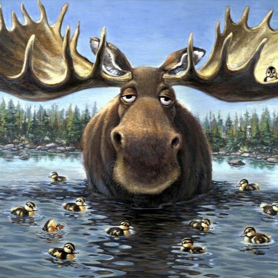 Прикольный Лось