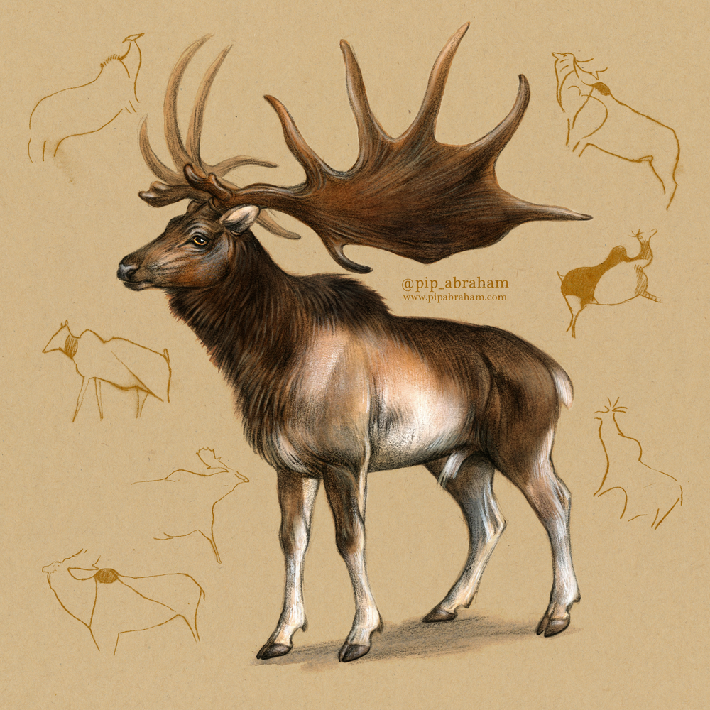 Ирландский олень (Megaloceros)