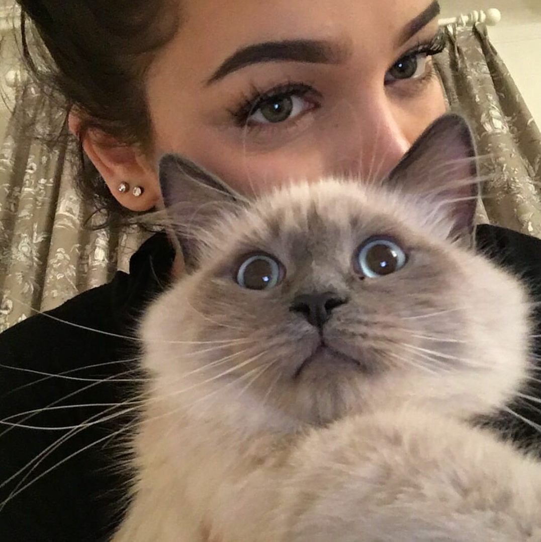 Девушка с котом селфи