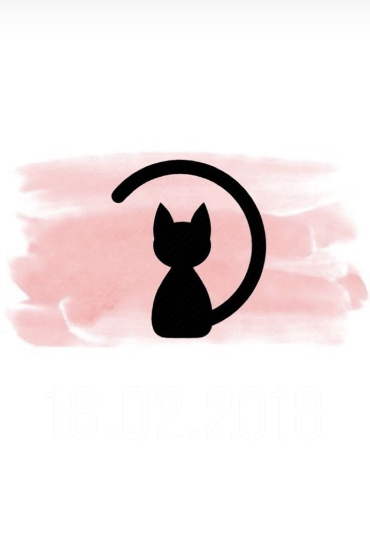 Актуальные котики