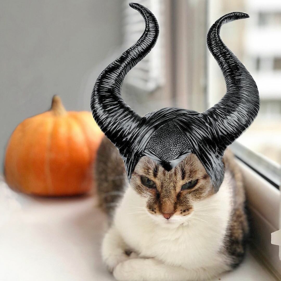 Котенок с рожками