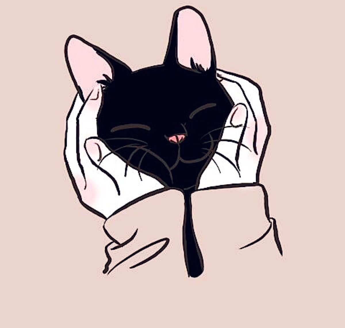 Мультяшные котики Эстетика