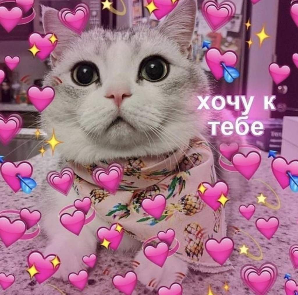 Милый котик с сердечками