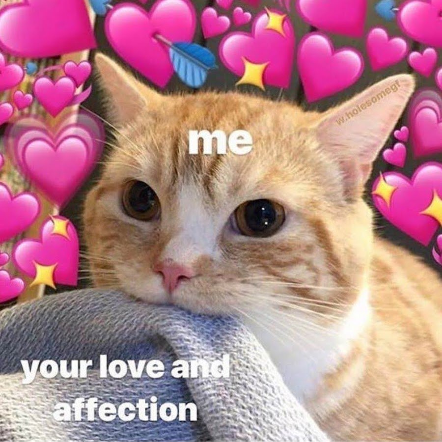 Кот улыбается с сердечками