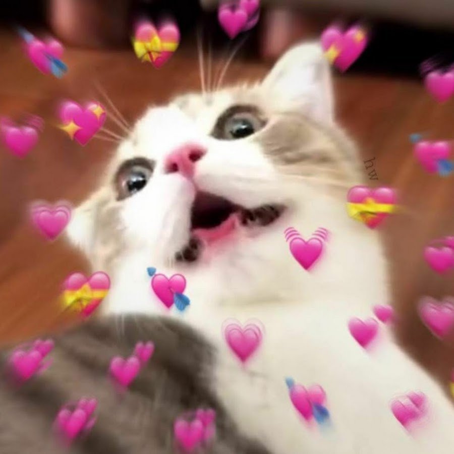 Милый котик с сердечками
