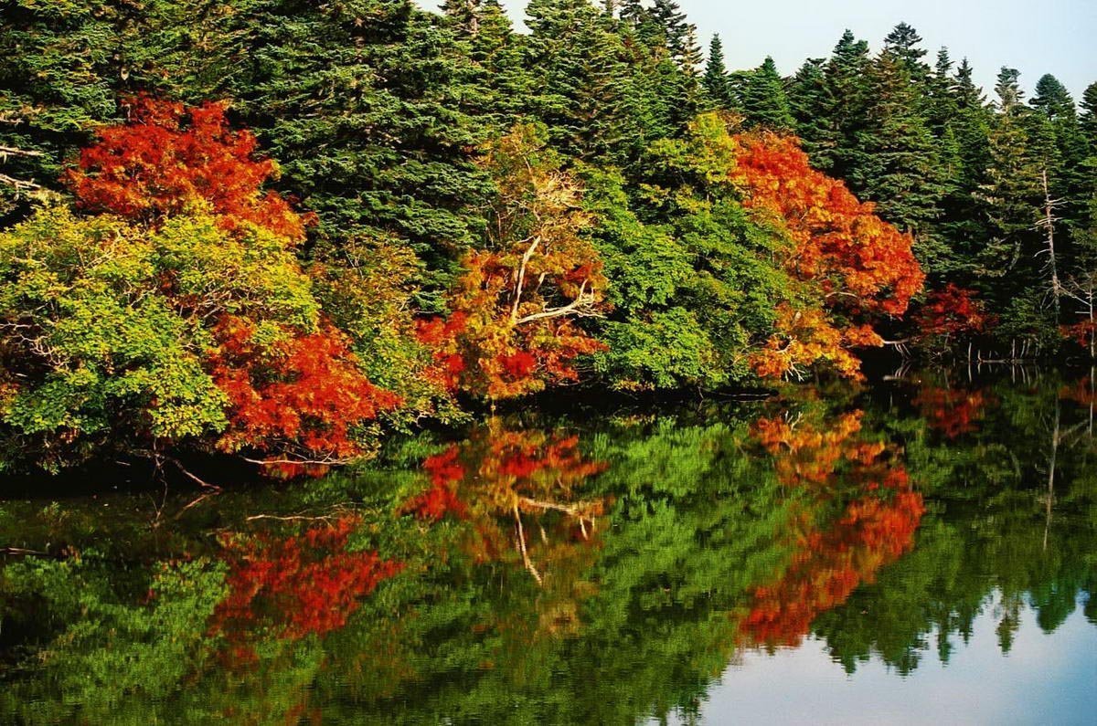 Яркая осень