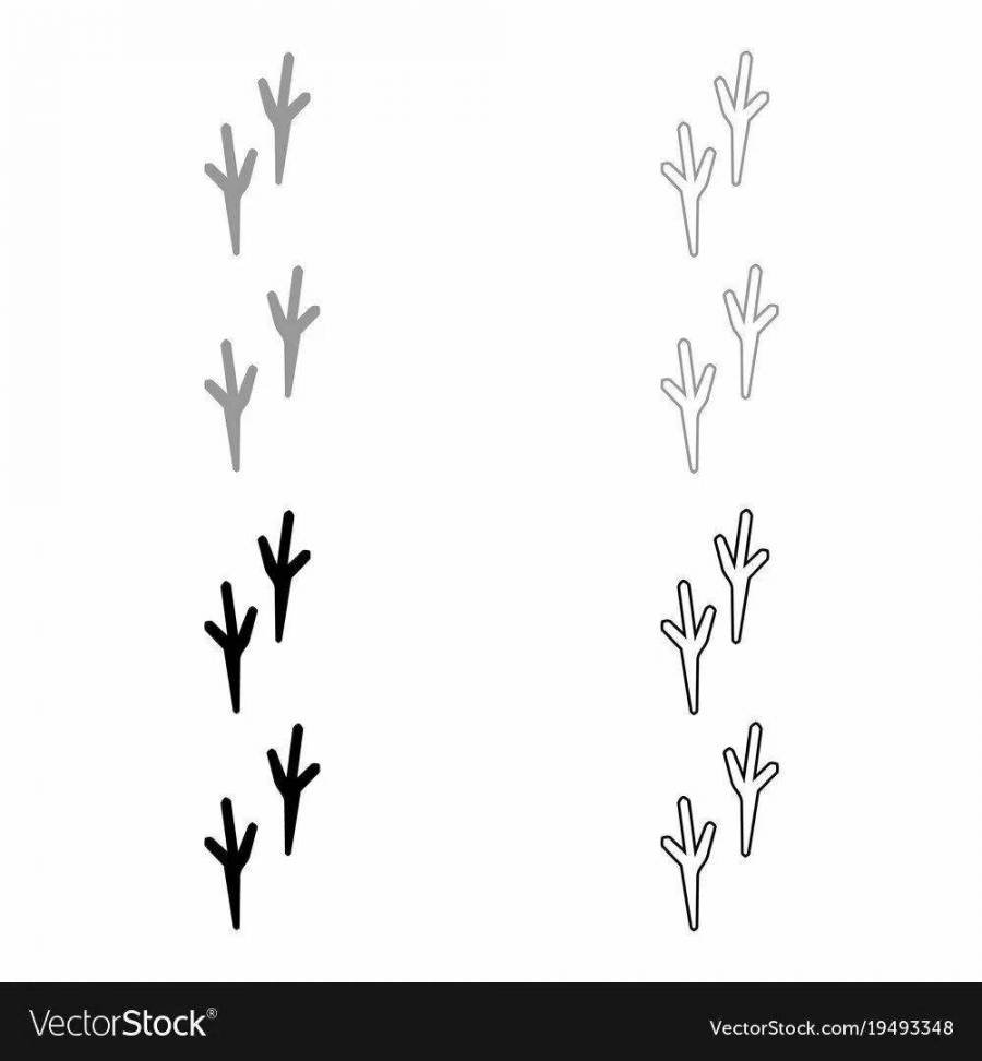 Следы птиц вектор