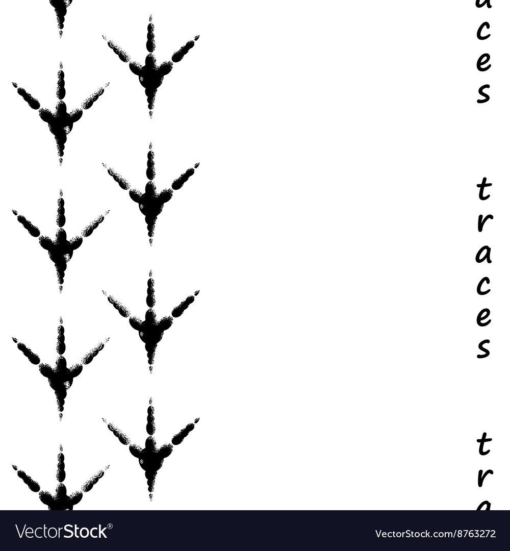 Следы птиц подписанные