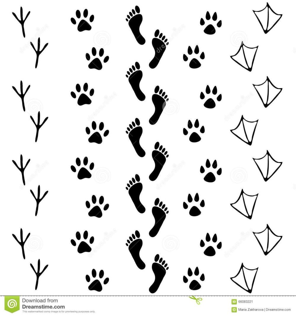 Разные следы