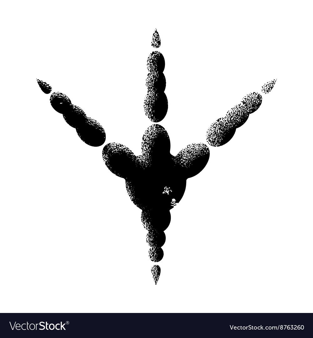 Следы курицы