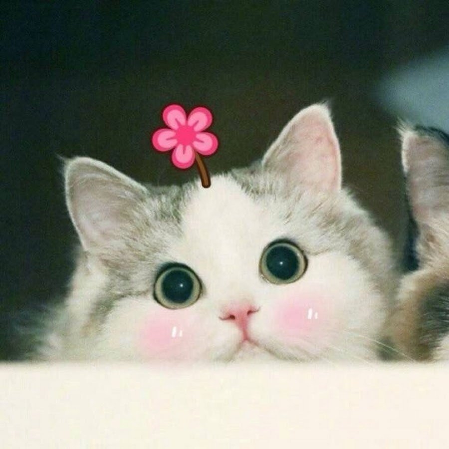 Милый котёнок с сердечком