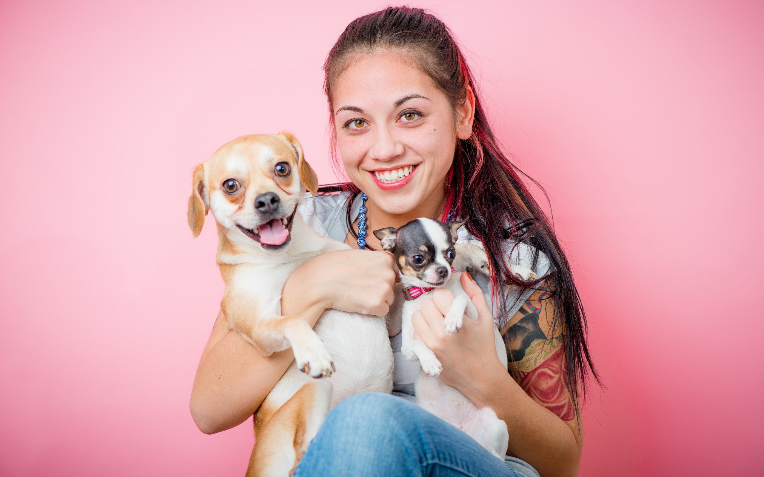 Картинка девушки с собакой. Девушка с собакой. Девушка с щенком. Девушка с собачкой на руках. Девушка с кошкой и собакой.