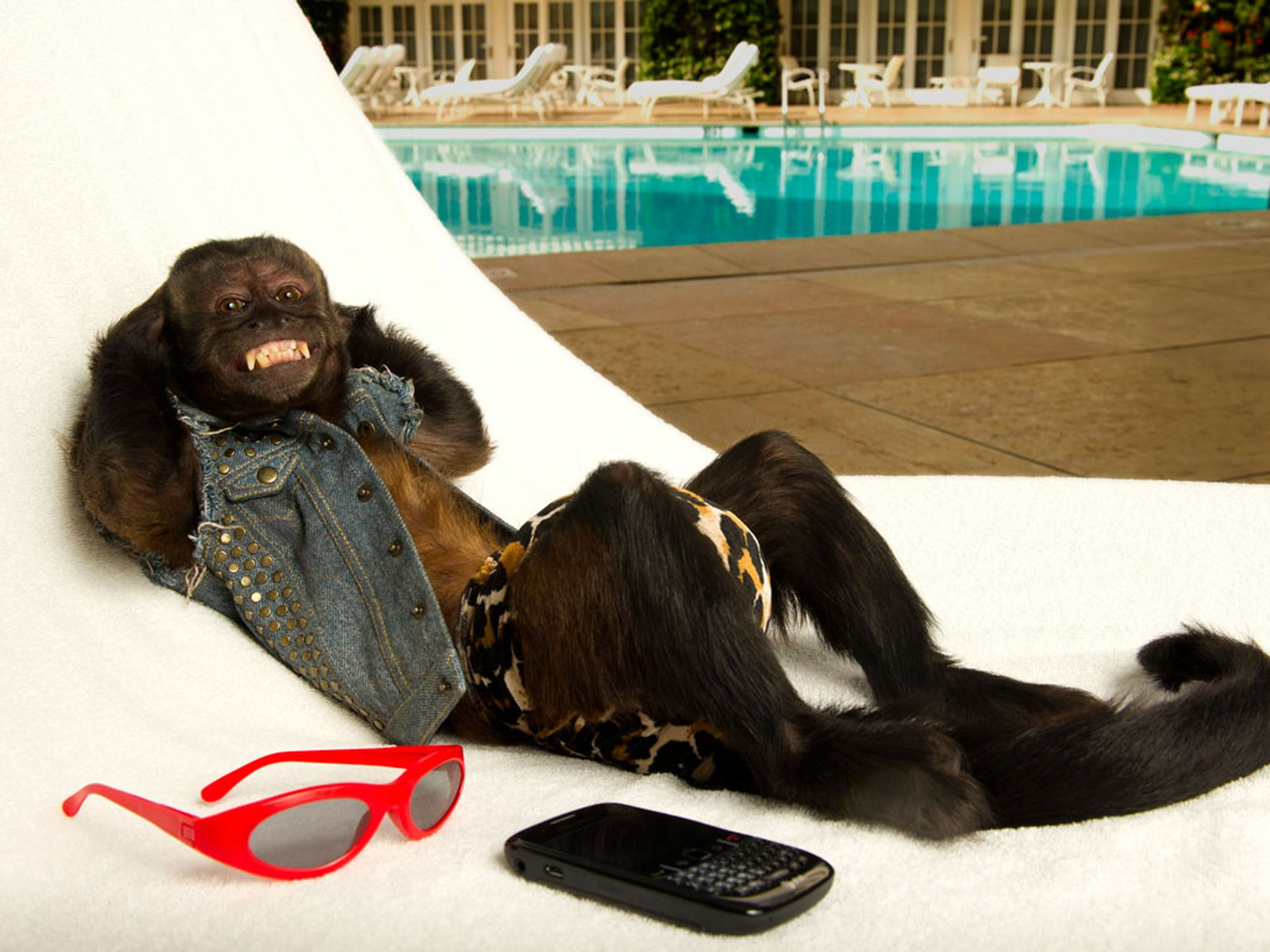 Капуцин Кристалл