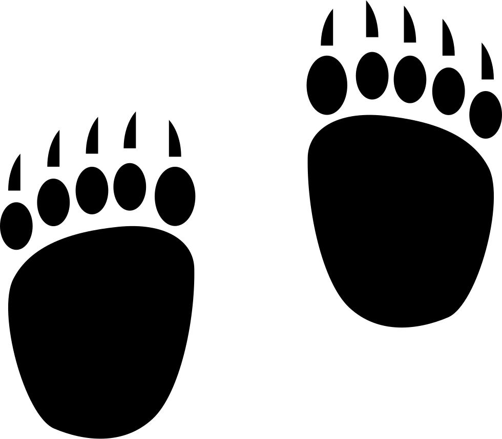 Медвежий след