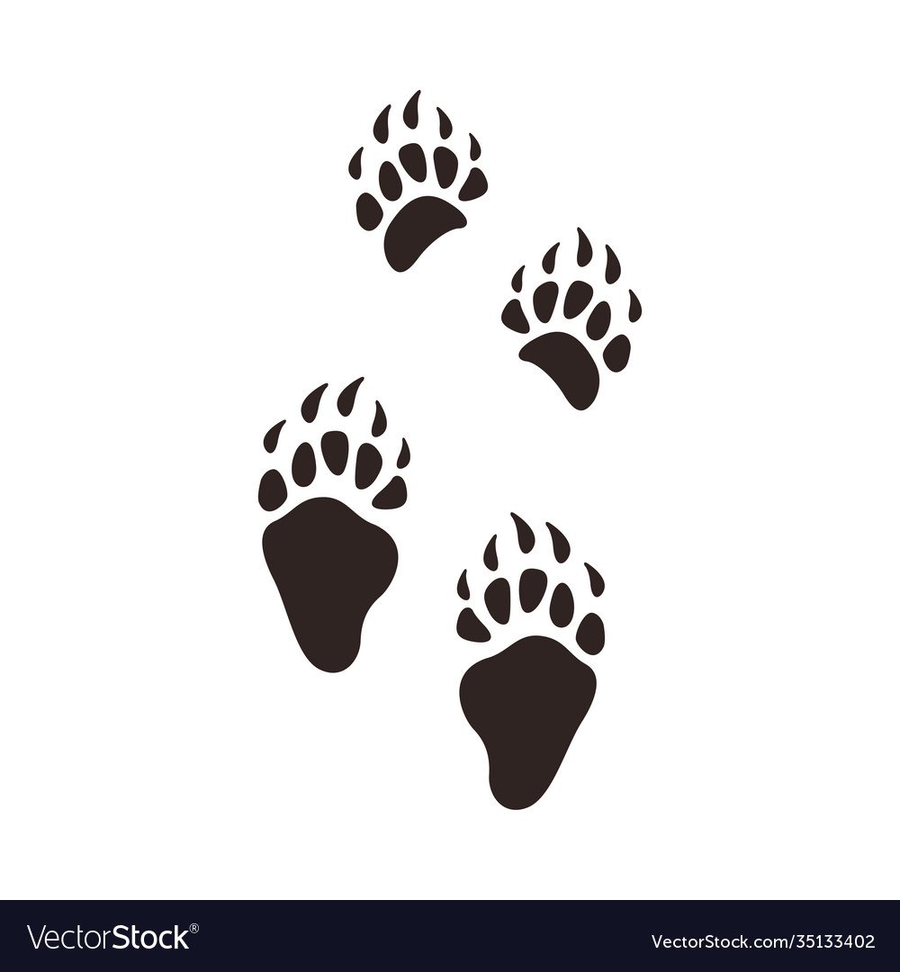 Следы от лап хамелеона