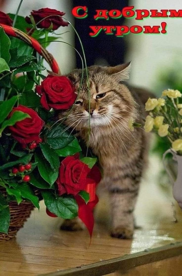 Котенок с цветами