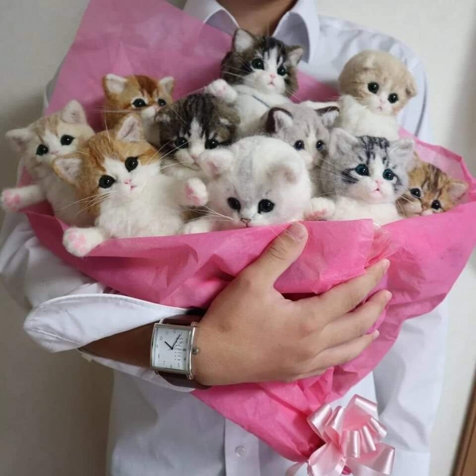 Кошка с букетом