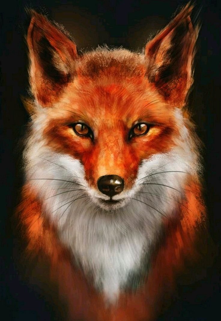 Лисы арт