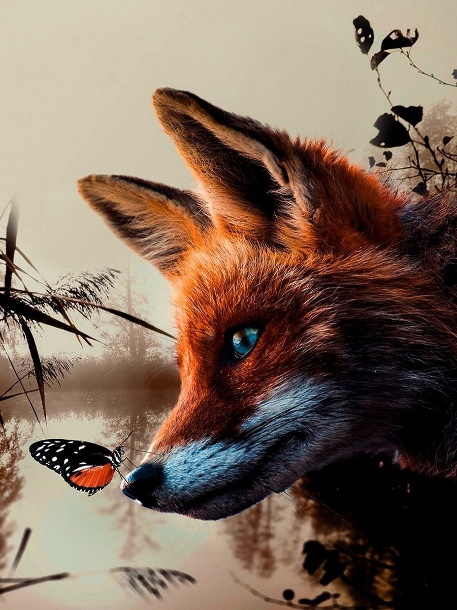 Лисенок с бабочкой