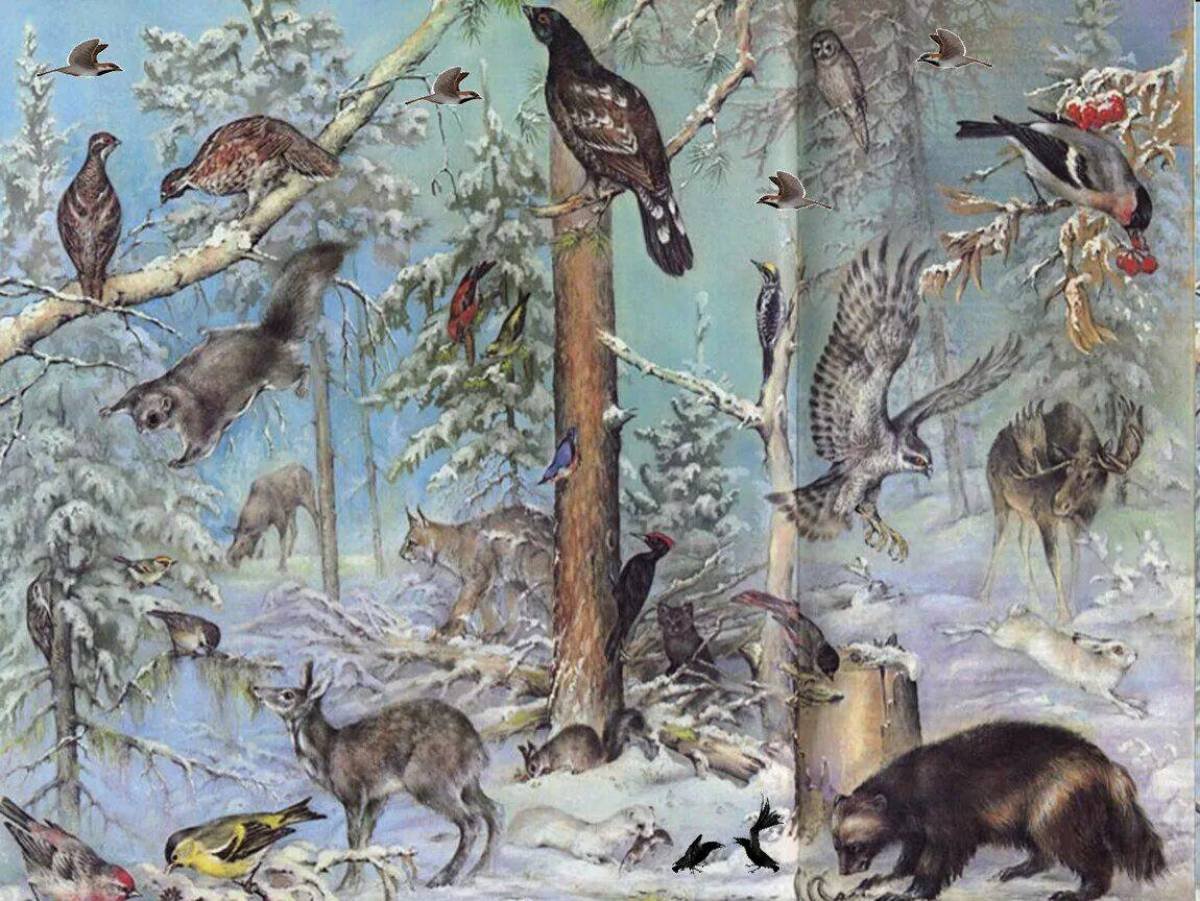 Голос зверей и птиц. Лесные обитатели. Животные в зимнем лесу. Лесные звери и птицы. Жители леса.