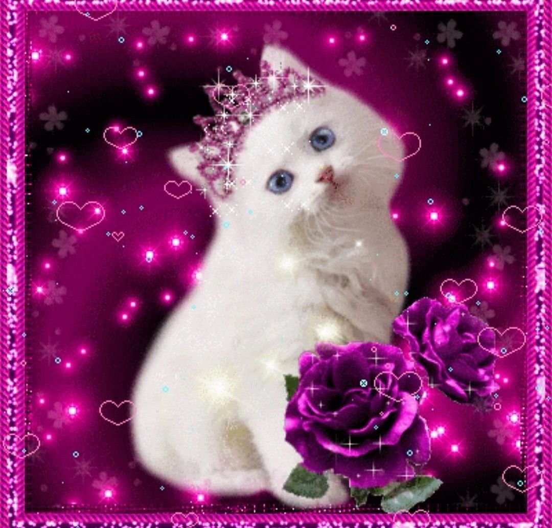 Котенок блестяшка