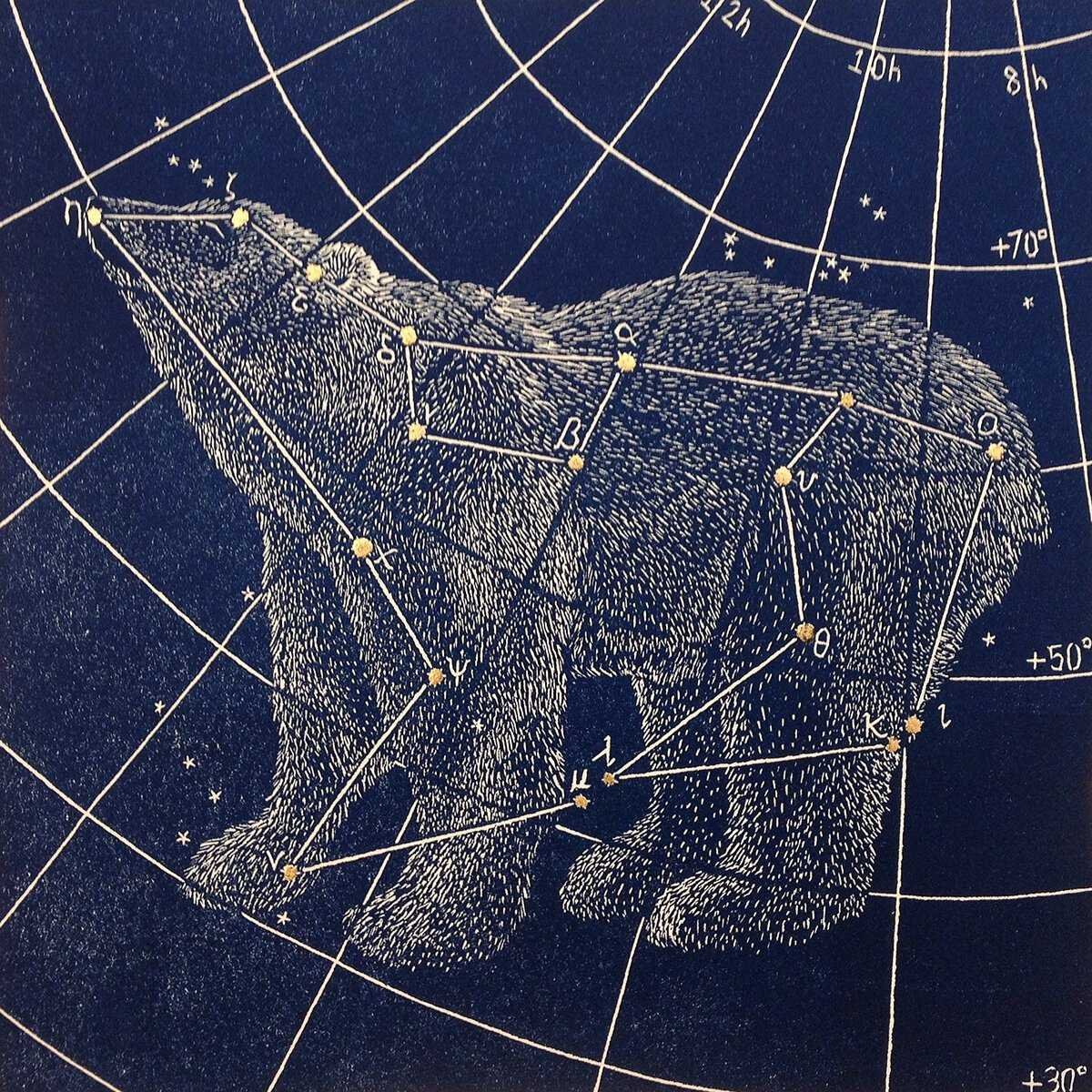 Большая Медведица Созвездие