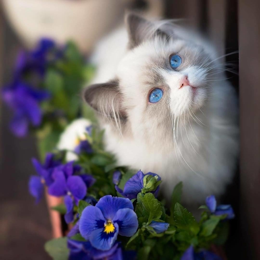 Доброй ночи до завтра