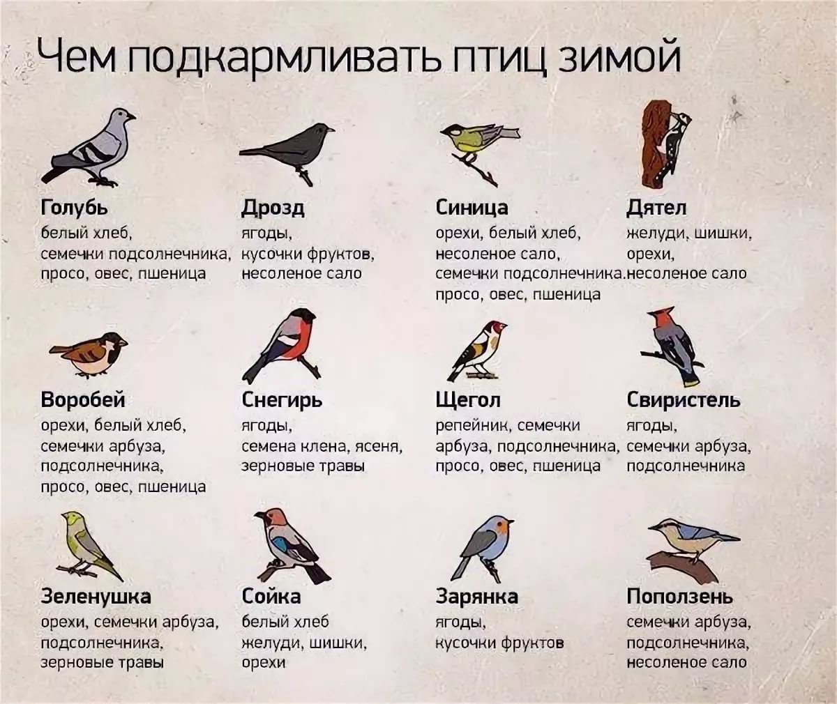Чем подкормить птиц зимой в кормушке таблица