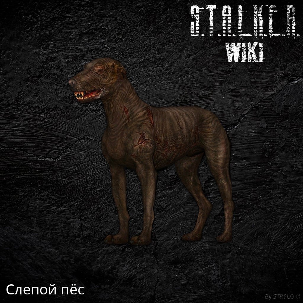 Сталкер мутанты слепой пёс