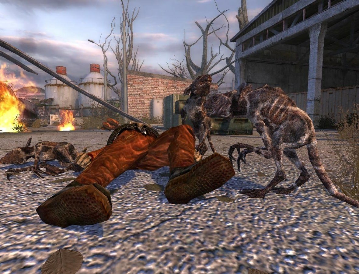 Тушканчик сталкер Зов Припяти