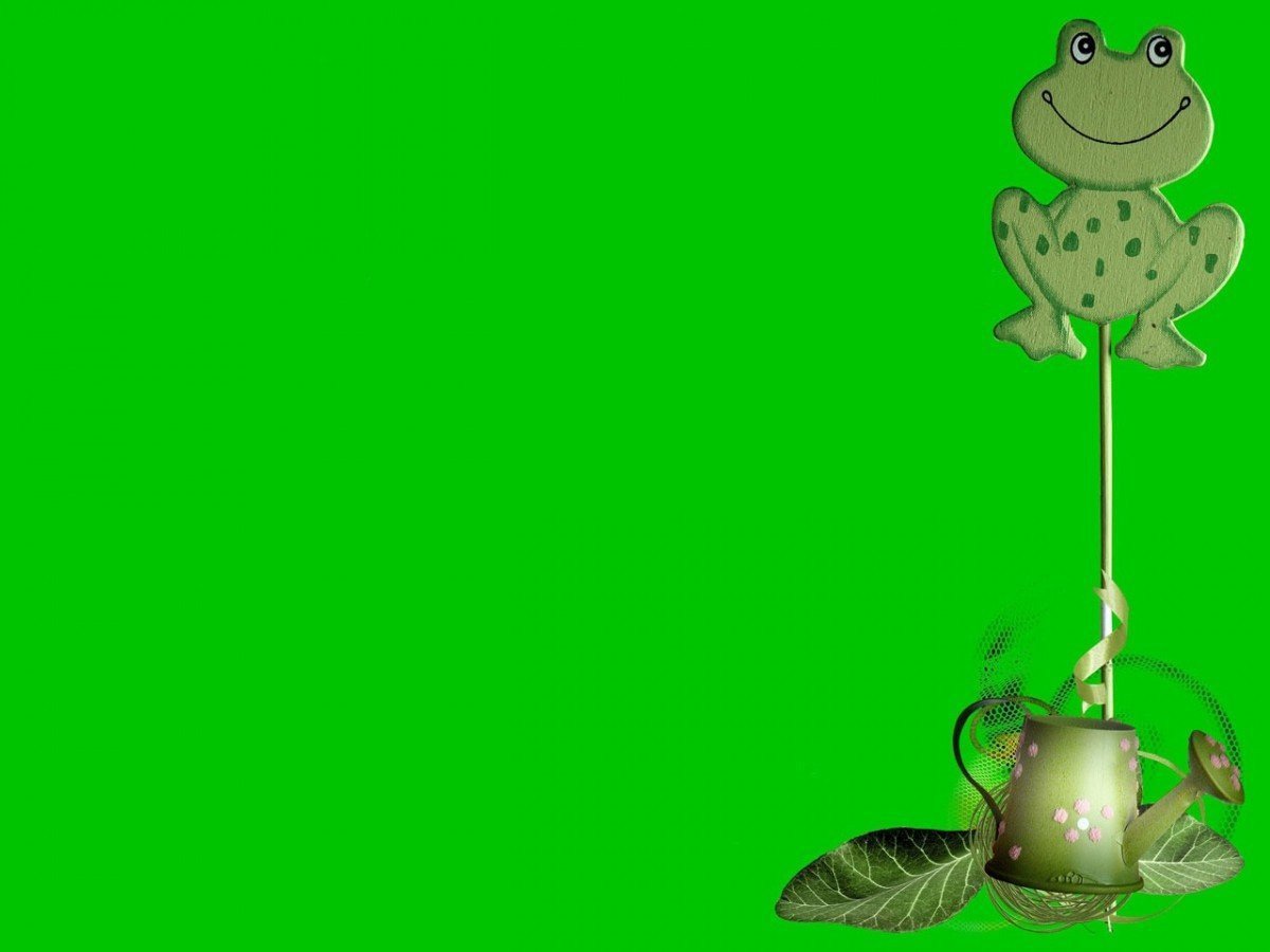 Лягушка на зеленом фоне