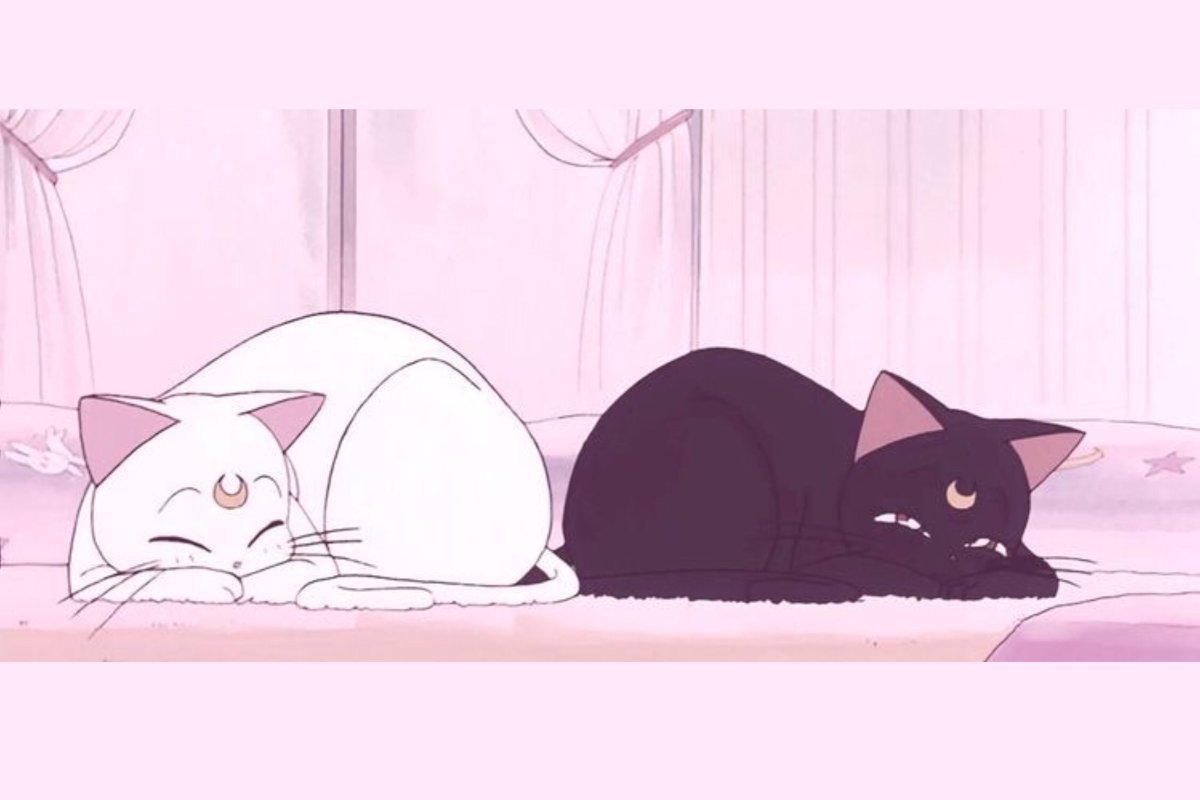 Котята нарисованные Эстетика