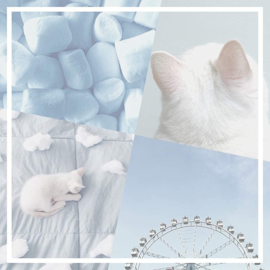 Обои с котятами Эстетика